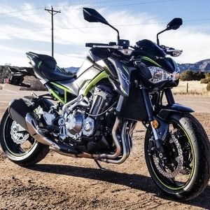 Meet your Posher, Roy